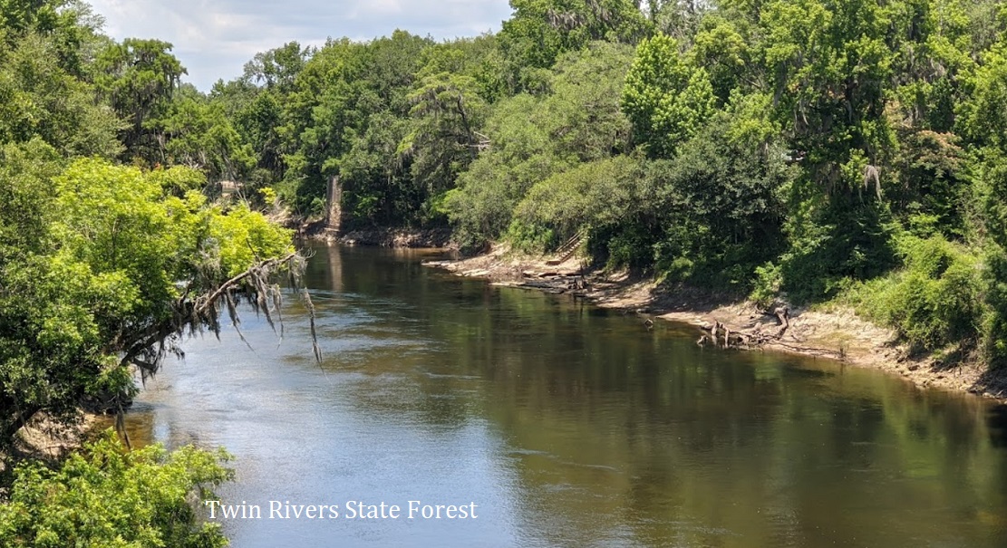 Lot For Sale Suwannee River Campsites Hamilton FL 0.180 acres, ATV